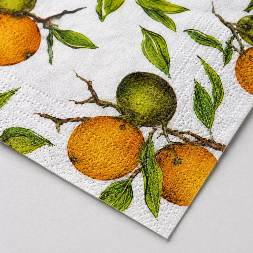 20 Guardanapos Papel Laranjas Frutas Decoupage Triplo 33x33