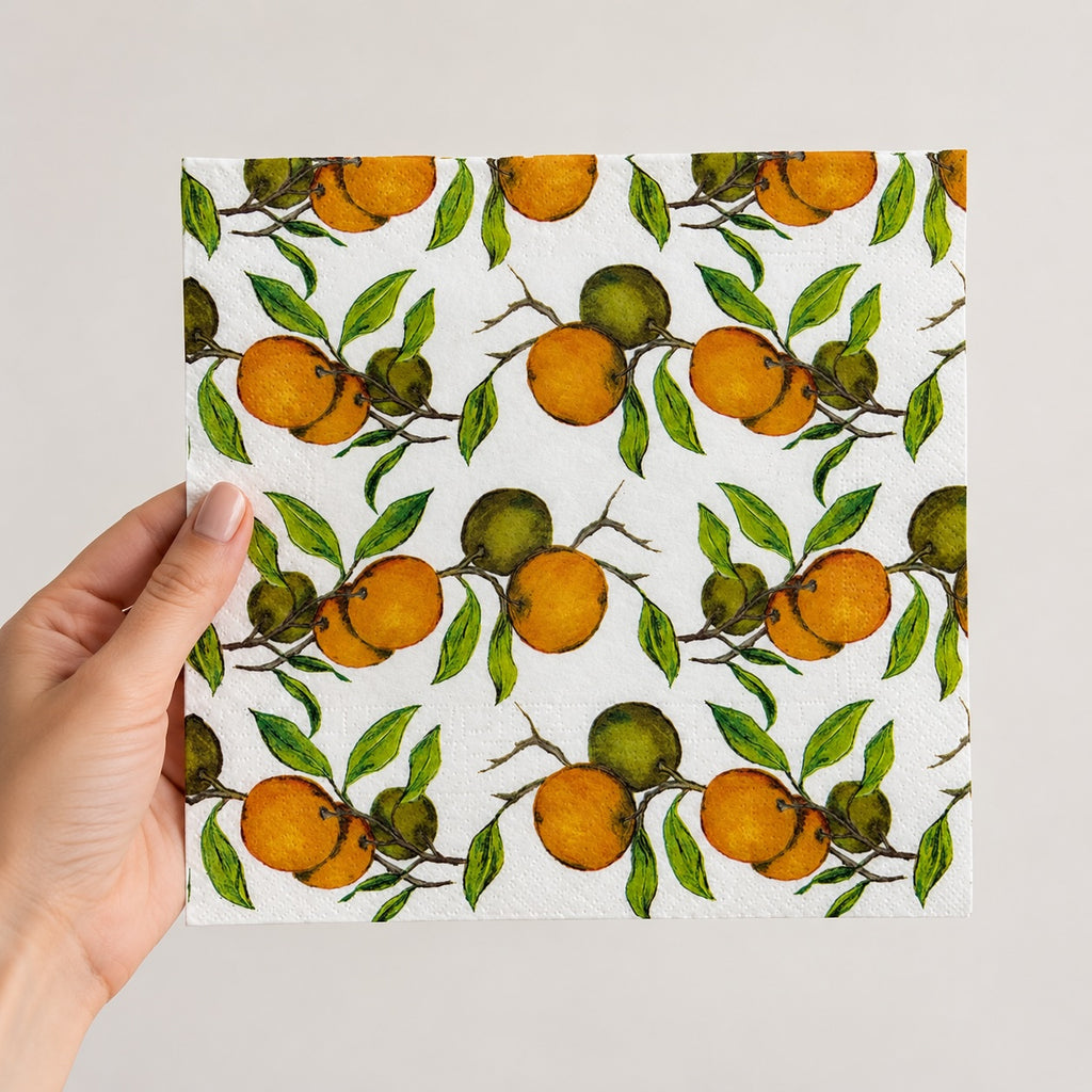 20 Guardanapos Papel Laranjas Frutas Decoupage Triplo 33x33