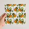 20 Guardanapos Papel Laranjas Frutas Decoupage Triplo 33x33